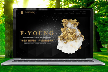 ���Ÿ������ﱦʯ